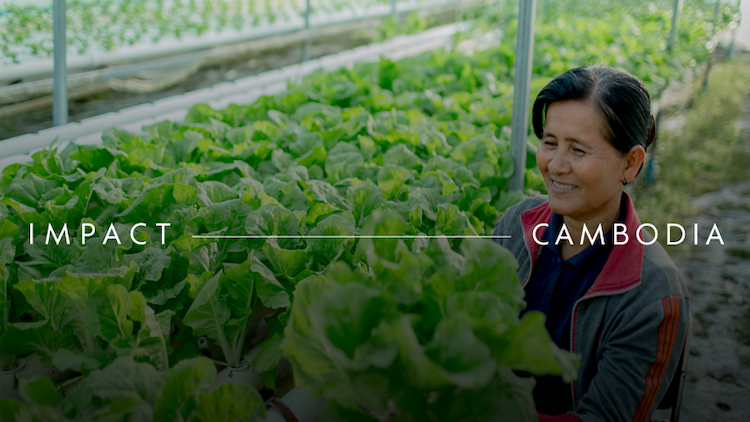 Cambodia impact video